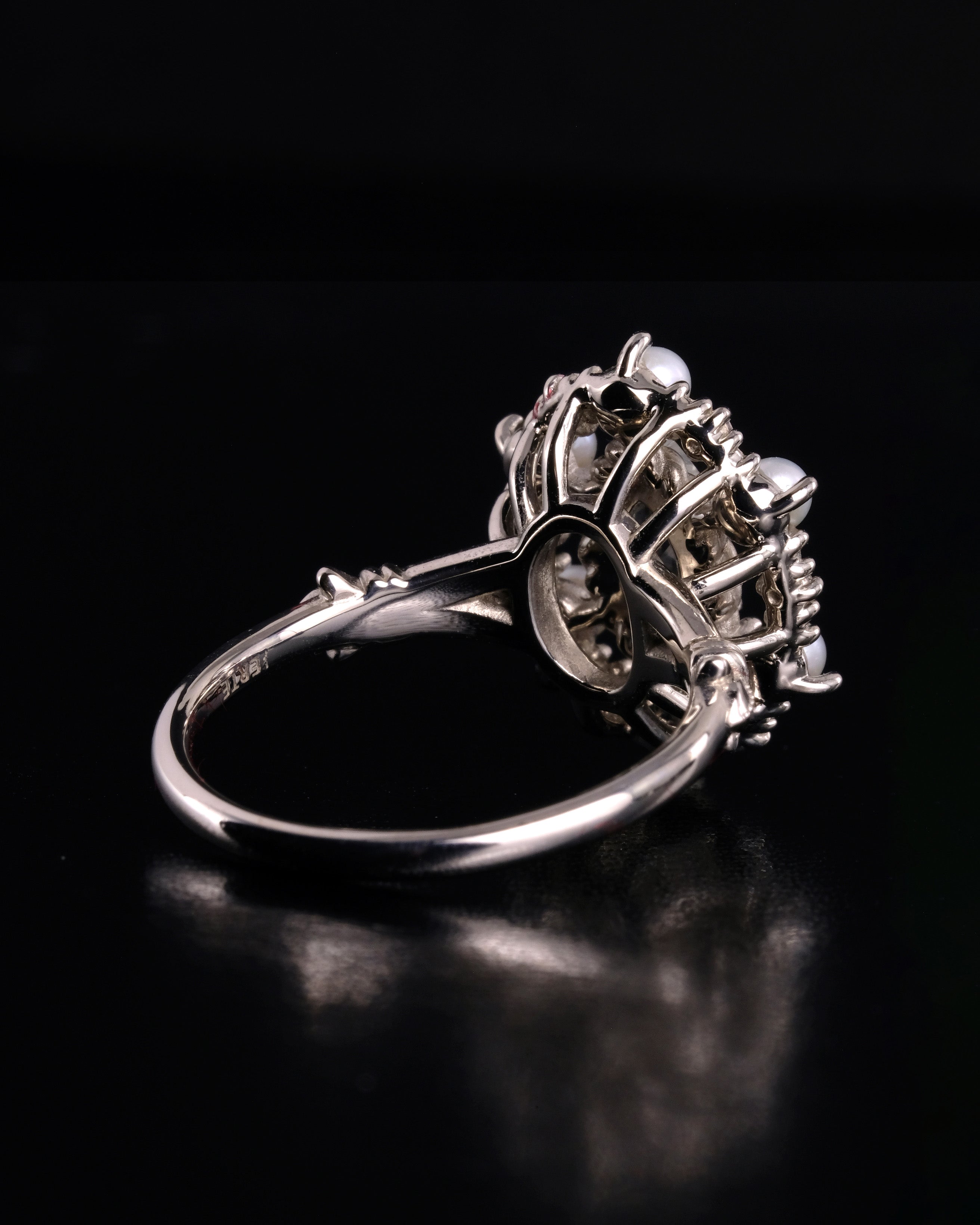 "Musica Sphaerae" Ring / ムジカ・スファエレ